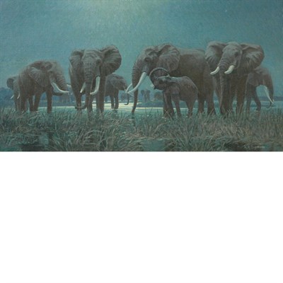Lot 21 - Arthur Radclyffe Dugmore American, 1870-1955...