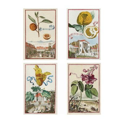 Lot 320 - Johann Christoph Volkamer [PLANT STUDIES] Four...
