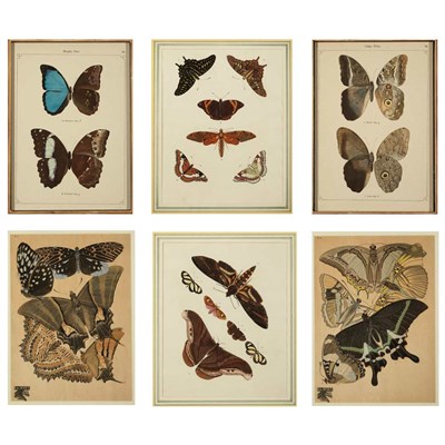 Lot 378 - Pieter Cramer [BUTTERFLY STUDIES] Two...