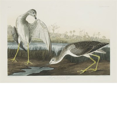 Lot 102 - After John James Audubon TELL-TALE GODWIT OR...