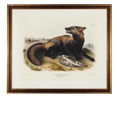 Lot 110 - After John James Audubon AMERICAN CROSS FOX...