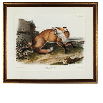 Lot 112 - After John James Audubon AMERICAN RED FOX Hand-...