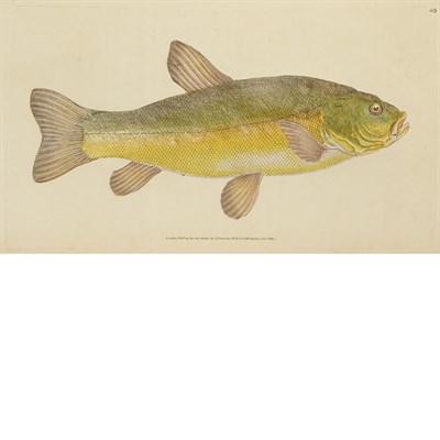 Lot 255 - [COLOR PLATE] DONOVAN, EDWARD. The Natural...
