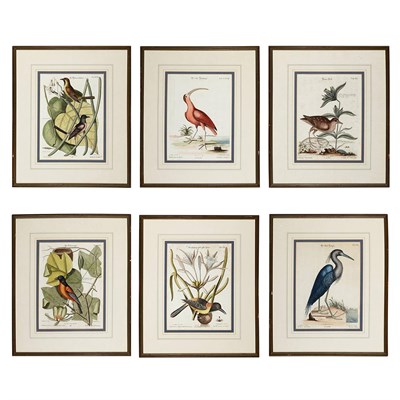 Lot 89 - Mark Catesby [BIRD STUDIES] Six hand-colored...