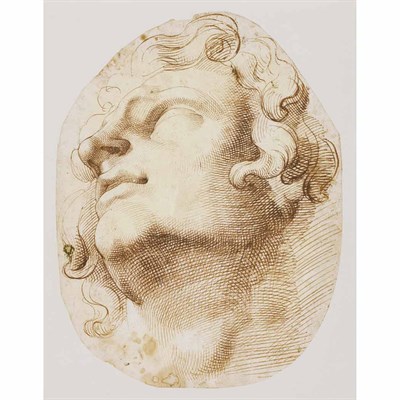 Lot 30 - Central Italian School 16th Century Head of a...