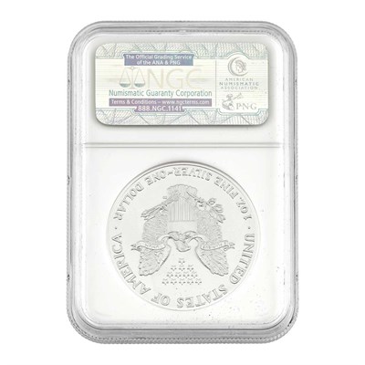 Lot 180 - United States Silver Eagle Set