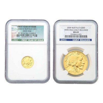 Lot 231 - United States Gold Buffalos