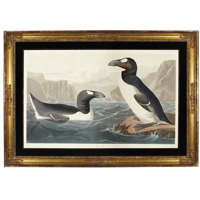 Lot 107 - After John James Audubon GREAT AUK...
