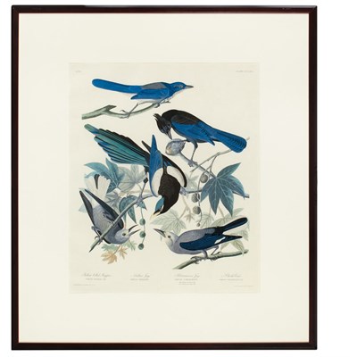 Lot 109 - After John James Audubon YELLOW BILLED MAGPIE,...