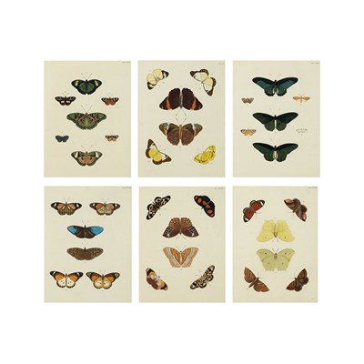 Lot 142 - Pieter Cramer [BUTTERFLY STUDIES] Six...