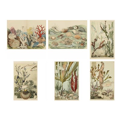 Lot 166 - After Emile Belet [UNDERWATER MARINE LIFE...