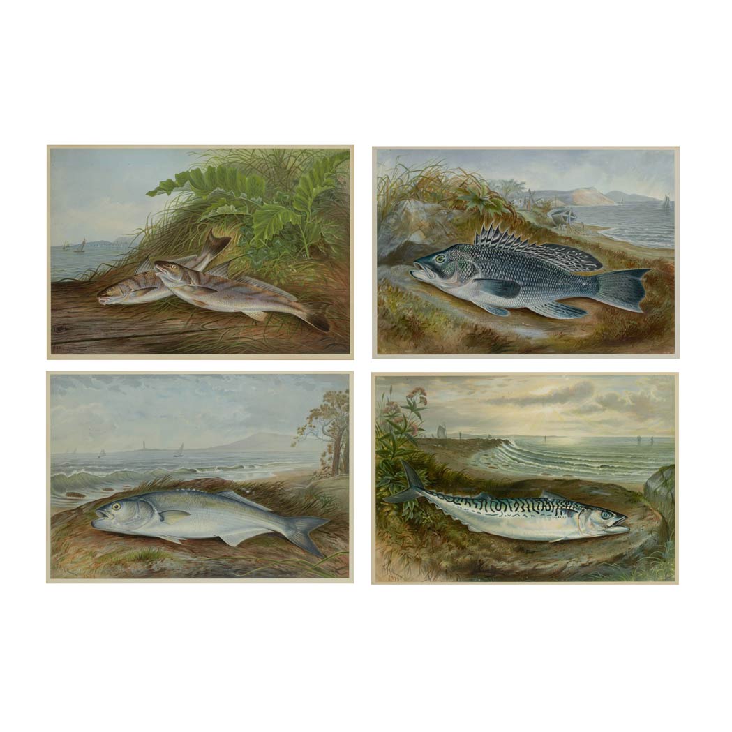 Lot 261 - Samuel A. Kilbourne [GAME FISH STUDIES] Four...