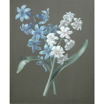 Lot 84 - Attributed to Mary Lawrence Blue and White...