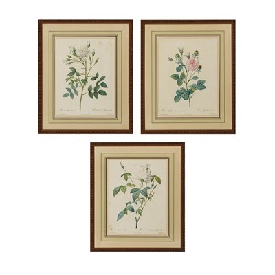 Lot 85 - After Pierre-Joseph Redoute ROSA GALLICA...