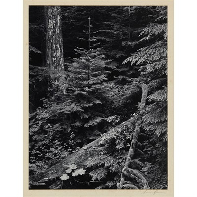 Lot 16 - ADAMS, ANSEL (1902-1984) Pair of photographs...