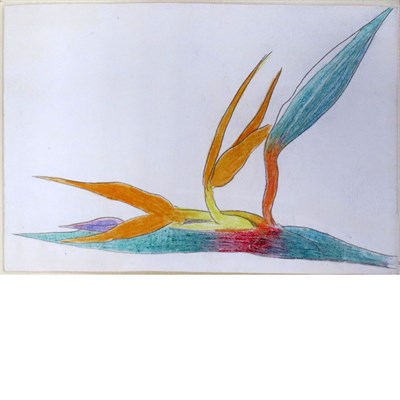Lot 104 - Joseph Stella American, 1877-1946 Bird of...