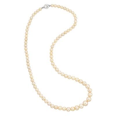 Lot 570 - Natural Pearl Necklace with Diamond Clasp