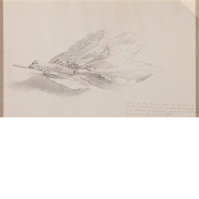 Lot 157 - European School 19th Century Study of Bay...