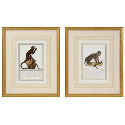 Lot 425 - Pair of Framed Hand-Colored Engravings Jacobs,...