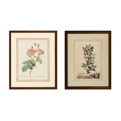Lot 81 - After P. J. Redoute ROSA CENTIFOLIA...