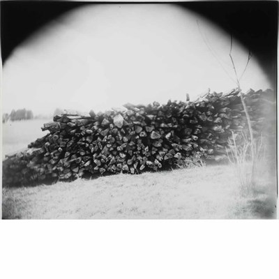 Lot 297 - MANN, SALLY (b. 1951) [Untitled Georgia # 17,...