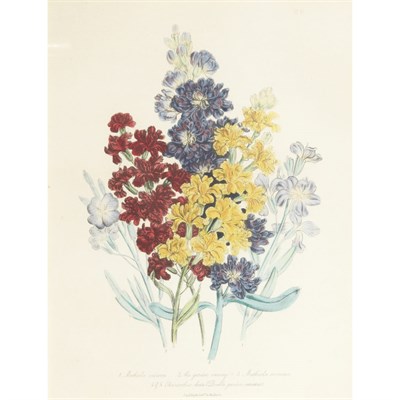 Lot 129 - Day & Haghe [FLOWER STUDIES] Four hand-colored...