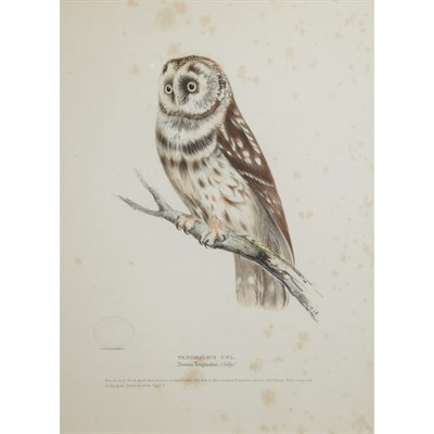 Lot 125 - H. L. Meyer [BIRD STUDIES] Six hand-colored...