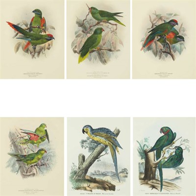 Lot 422 - John Gerrard Keulemans (1842-1912) [PARROT...