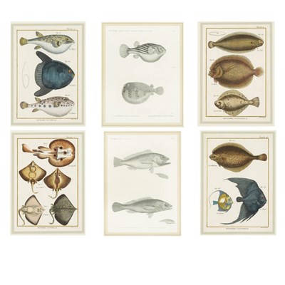 Lot 395 - Pierre Joseph Bonnaterre (1752-1804) et al...