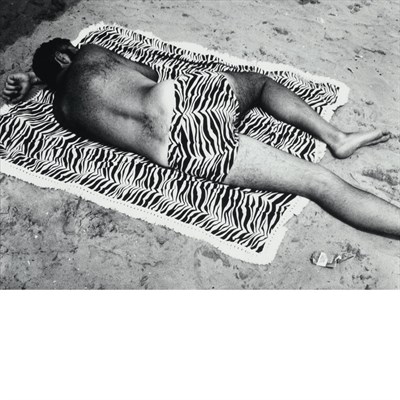 Lot 114 - METZKER, RAY (b. 1931) [Sand Creatures: Zebra...