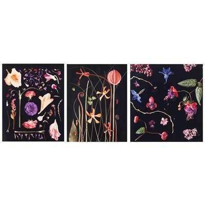 Lot 143 - JAFFE, BARBARA (b. 1942) Group of three images...