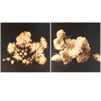 Lot 321 - BARROW, REENIE (b. 1944) Two photographs....