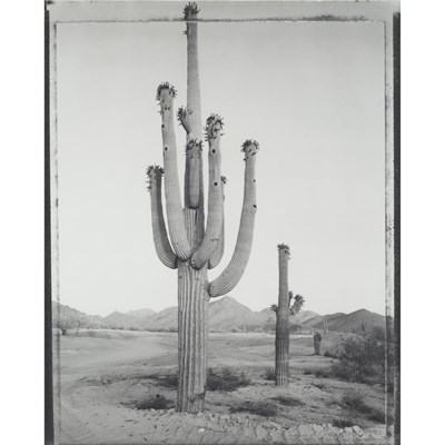 Lot 207 - KLETT, MARK (b. 1952) Longest Day: Last Light...