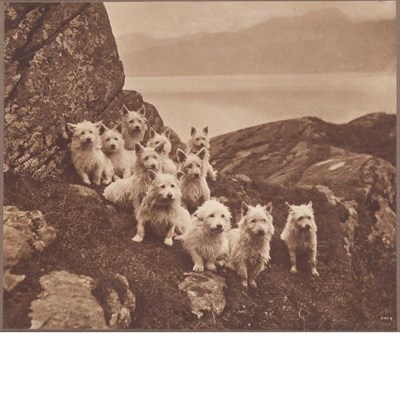 Lot 295 - REID, CHARLES (1837-1929) A Scottish Eleven...