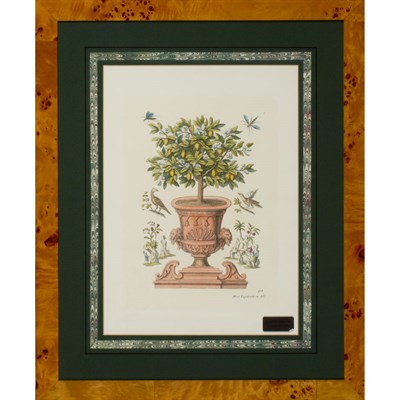 Lot 134A - Artist Unknown [URN STUDIES] Two hand-colored...