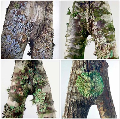 Lot 528 - SHAW, BOB (b. 1965) Four photographs from...