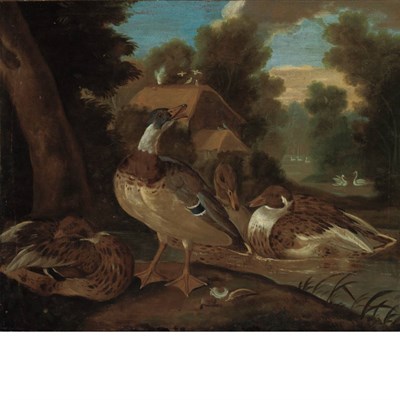 Lot 64 - European School 18th Century Ducks Oil on...