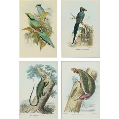 Lot 343 - J. Gould & H. C. Richter CISSA VENATORIA;...