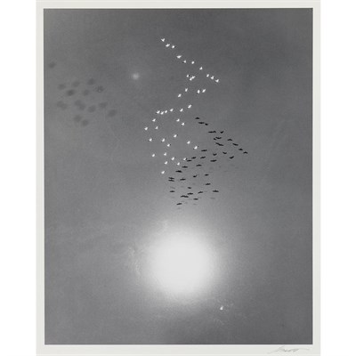 Lot 282 - GARNETT, WILLIAM (B. 1916) Snow Geese with...