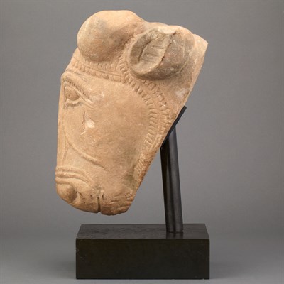 Lot 27 - Indian Buff Sandstone Head of a Bull Late...