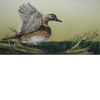 Lot 17 - Ron Dembosky American, 20th Century Bird...