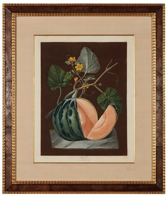 Lot 116 - After George Brookshaw (1751-1823) POLINAC;...