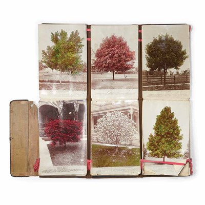 Lot 255 - [TRADE CATALOGUE] Unusual folding hand-colored...