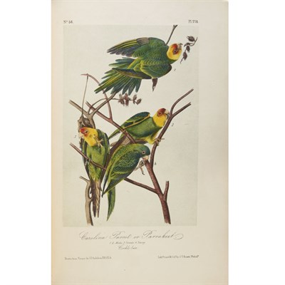 Lot 2 - AUDUBON, JOHN JAMES The Birds of America. New...